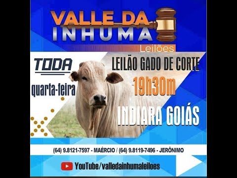 INDIARA  - GO  05/11/2025