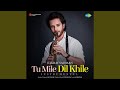 Tu Mile Dil Khile Instrumental