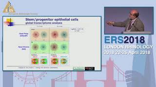 Download Lagu ERS London 2018, Genomics in CRS, Joaquim Mullol Thumbnail