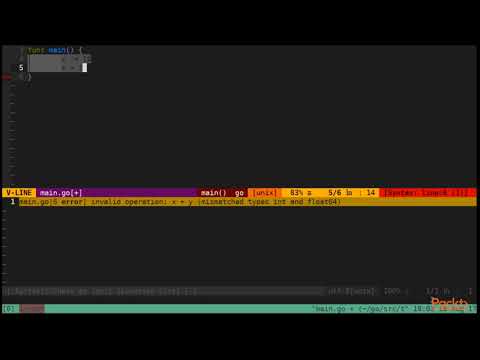 Learning Go Data Structures and Algorithms Variables and Elementary Types|packtpub com