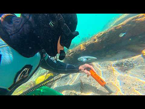 I Found Enough Rings to BUY a NEW TESLA CAR *Metal Detecting*