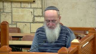 מהות סימני הכשרות בבהמות ובדגים – שיעור 85 – ספר דברים