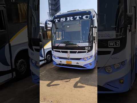 Apsrtc & Tsrtc buses taking rest at Visakhpatnam #apsrtc #tsrtc #andhra #telangana #busjourney #bus