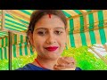 Bandana Pandey Vlogs लाइव है