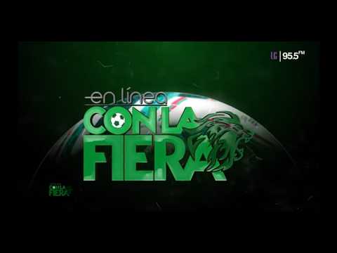 En Línea con La Fiera 🦁