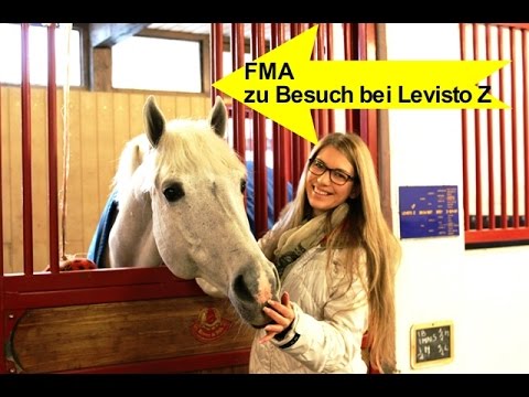 FMA - Zu Besuch bei Levisto Z - 2016 - Gestüt Zangersheide Open Days