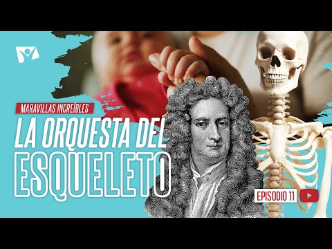 LA ORQUESTA DEL ESQUELETO 🎻 Maravillas Increíbles 11