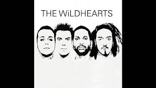 The Wildhearts    The Wildhearts   white album