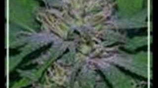 King Tubby - Badness Dub