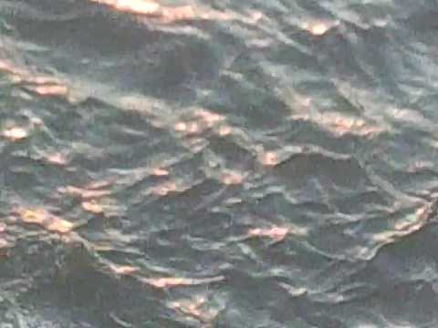 CALARASI , Roseti - e ceva suspect(necenzurat)