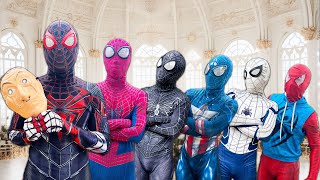 Pro 6 SuperHeroes Story || BLACK SPIDER-MAN NEW ??? ( Funny Action Real Life ) By Splife TV