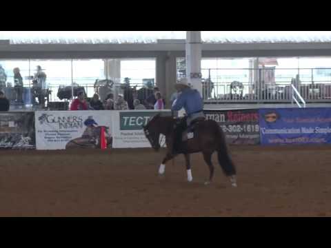 160224 Matt Goodman on DA Peppys Sis Nic Open