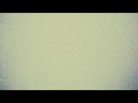 Finta de niños - enigma norteño - letra