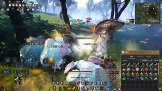 Black Desert Online Valkyrie Awakening Rework PVE 1000 Polly Forest 04:17 覺醒女武職改後1k蘑菇 4分17 (寵物撿取改版後)