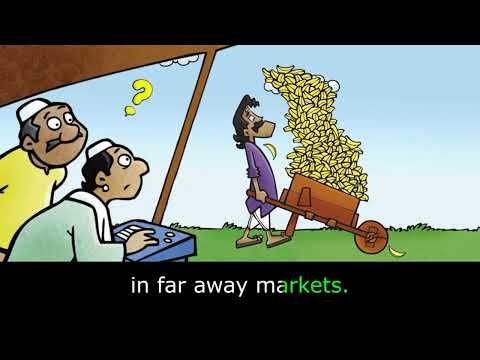 Too many Bananas 🍌🍌Stories for the kids👍Improving listening skills 🙏