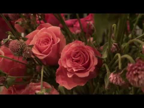 DUAS FLORES - MADRINHA RITA - FLOR DE JAGUBE