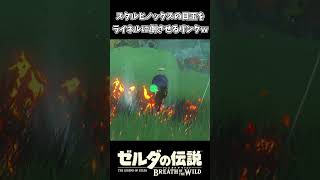 ヒノックスの目玉をライネルに破壊させるリンクｗｗ【ゼルダの伝説 ブレス オブ ザ ワイルド】
