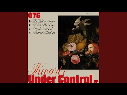 Enter The Zone (Original Mix)