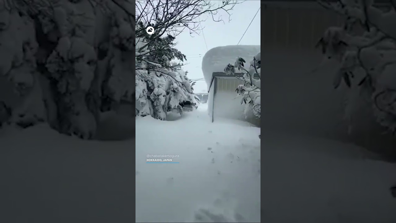 youtube video id=9xNlqwESyN0