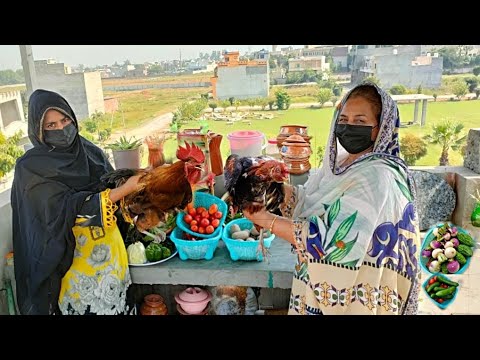 Pakistani women making Desi murgh salan|Traditional rooster curry|country chicken curry