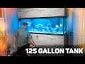 125 Gallon Aquarium Stand And Canopy Plans