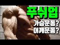 푸시업! 가슴운동? 어깨운동? 기능해부학을 알고 이해하자!