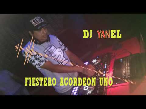 FIESTERO ACORDEON UNO - DJ YANEL