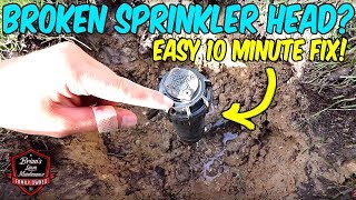 How To Easily & Quickly Replace A Broken Sprinkler Head
