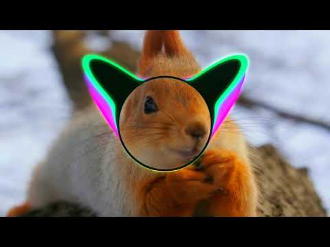 Thomas Gold feat. Danny Ores & Starjack & Conrad Brookes - Dream On