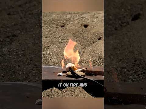 Warum sind C4 so stabil? ERKLÄRT