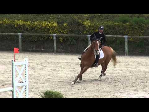 Salvia (webstallions.com)