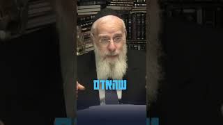 הבחירה של האדם - לאן לקחת את העולם? | מו"ר רה"י הרב יעקב שפירא שליט"א (ישיבת מרכז הרב) - התמונה מוצגת ישירות מתוך אתר האינטרנט יוטיוב. זכויות היוצרים בתמונה שייכות ליוצרה. קישור קרדיט למקור התוכן נמצא בתוך דף הסרטון הבחירה של האדם - לאן לקחת את העולם? | מו"ר רה"י הרב יעקב שפירא שליט"א (ישיבת מרכז הרב) - התמונה מוצגת ישירות מתוך אתר האינטרנט יוטיוב. זכויות היוצרים בתמונה שייכות ליוצרה. קישור קרדיט למקור התוכן נמצא בתוך דף הסרטון