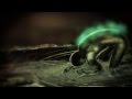 Socionic - Stain Serenity - Artwork Music Video ...