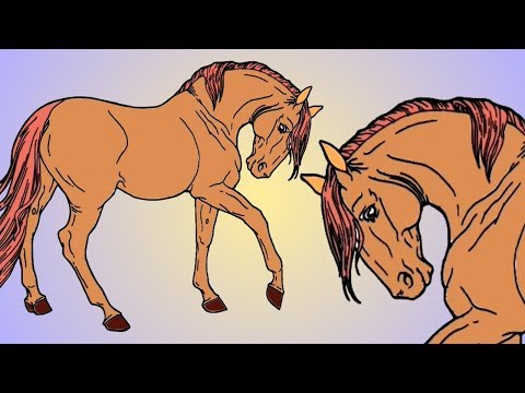 Drawing HORSE And Coloring ! Animal Coloring Pages Videos For Kids ! Kids Color Book ! HORSE
