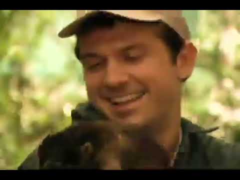 Zoboomafoo: Spots And Stripes