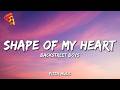 Backstreet Boys Shape Of My Heart Lyrics