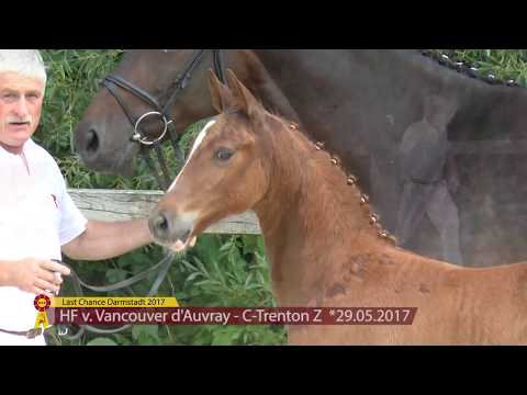 HF v. Vancouver d'Auvray / C-Trenton Z