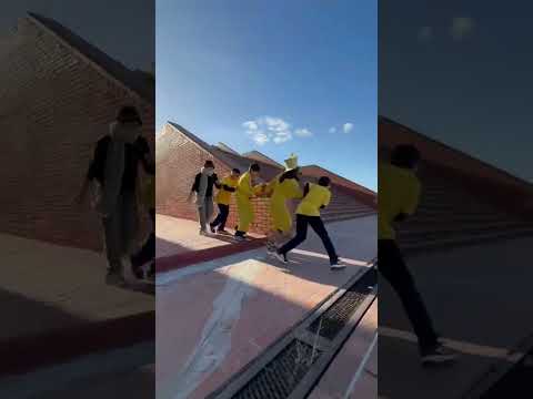 Banana Team