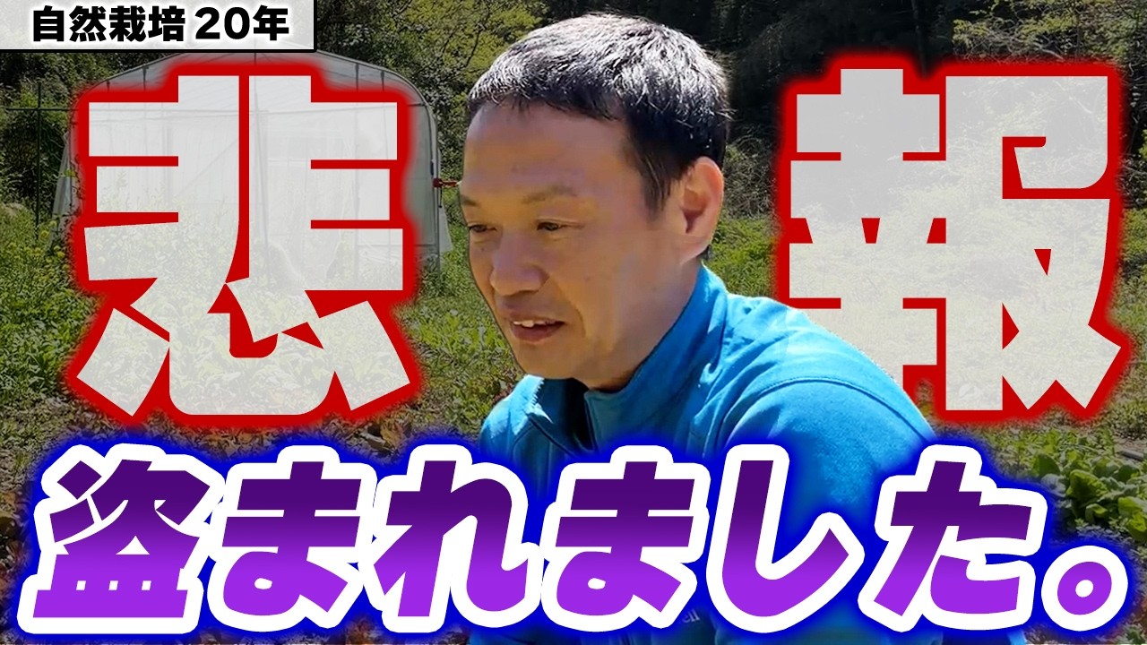 【自然栽培429】ピンチはチャンス!悲報に感謝!