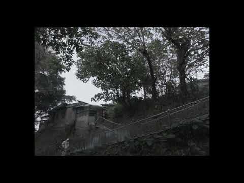 Трейлеры Без корней