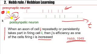 Synaptic Plasticity and Learning in the Brain