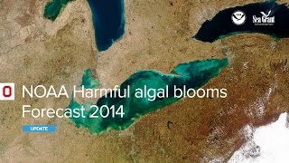 National Oceanic and Atmospheric Administration Harmful Algal Blooms Forecast 2014 Webinar
