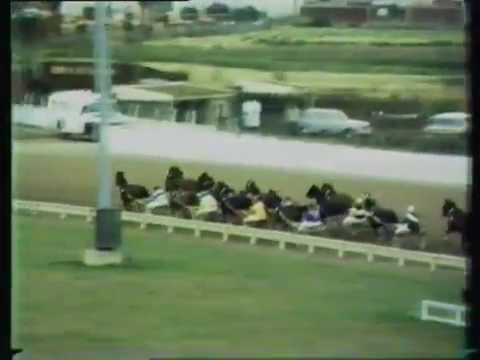 1971 Interdominion Pacers' Final - Addington, Christchurch: Junior's Image (Disqualified)
