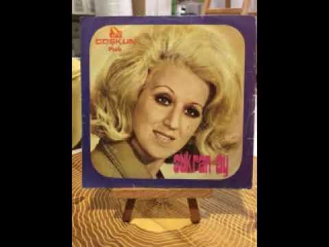 Şükran Ay - Unutulmayan Şarkılar