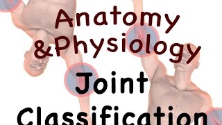 Joints and Articulations : Classification Structure (08:06)