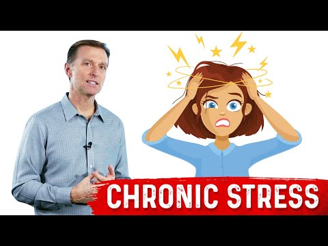 The Only Way to End Stress and Lower Cortisol