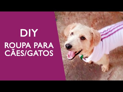 DIY - Roupa para Cães/Gatos