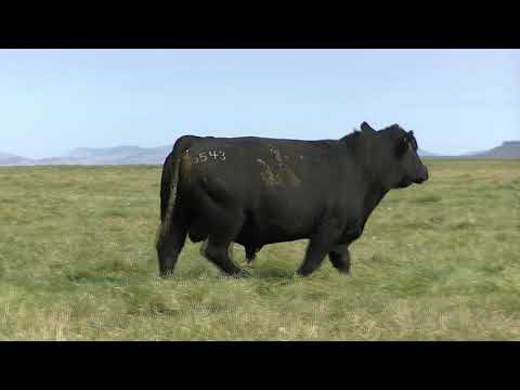 543 9 Peaks Protocol G543