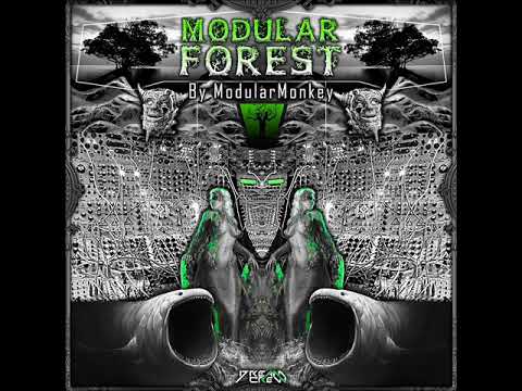 ModularMonkey - Forest Medecin