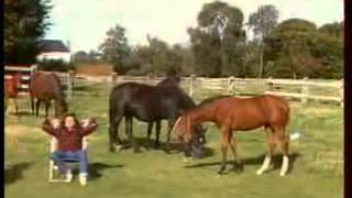 YouTube   michel sardou   k7